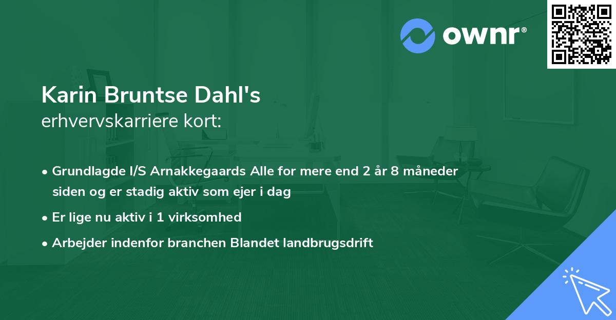 Karin Bruntse Dahl's erhvervskarriere kort