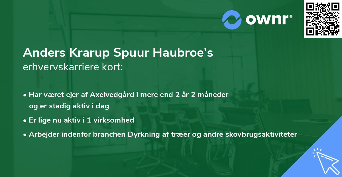 Anders Krarup Spuur Haubroe's erhvervskarriere kort