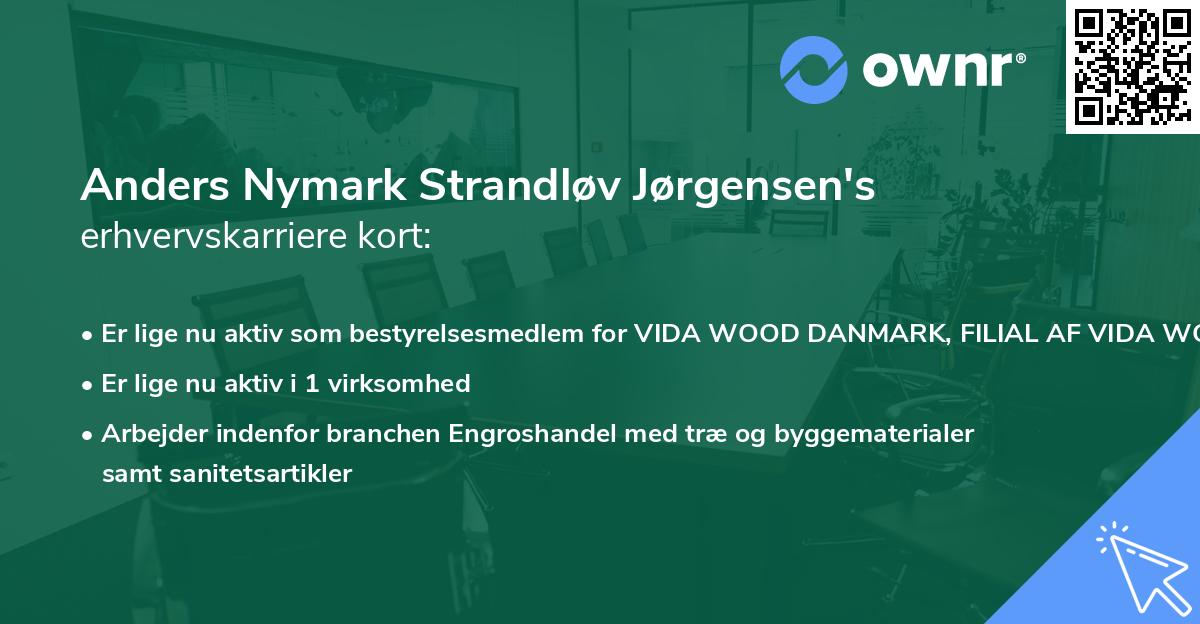 Anders Nymark Strandløv Jørgensen's erhvervskarriere kort