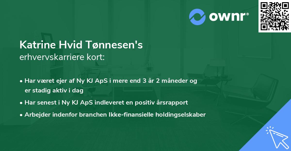 Katrine Hvid Tønnesen's erhvervskarriere kort
