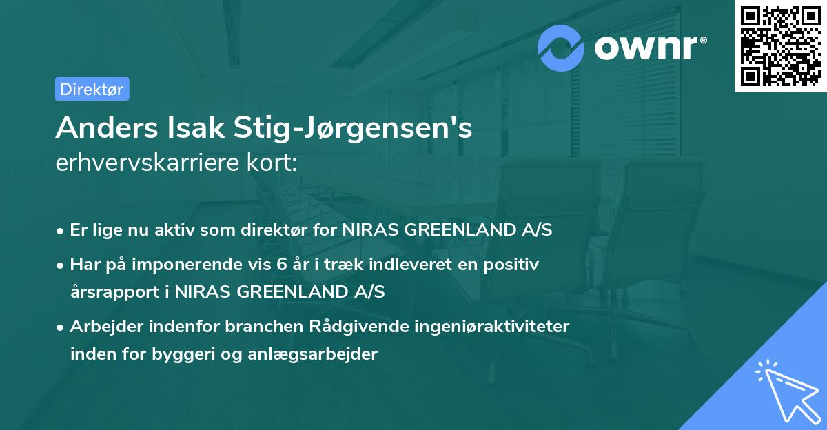 Anders Isak Stig-Jørgensen's erhvervskarriere kort