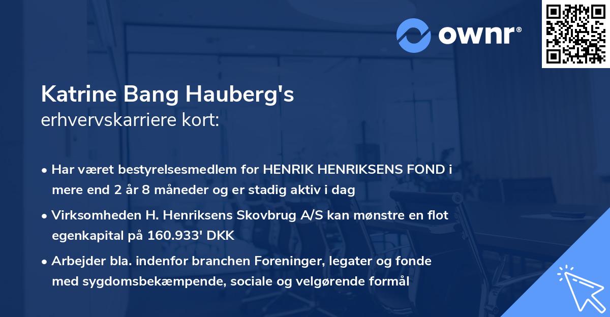 Katrine Bang Hauberg's erhvervskarriere kort