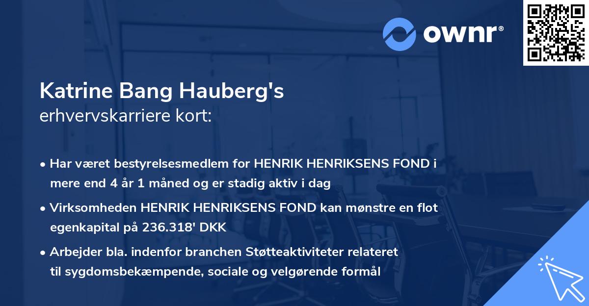 Katrine Bang Hauberg's erhvervskarriere kort