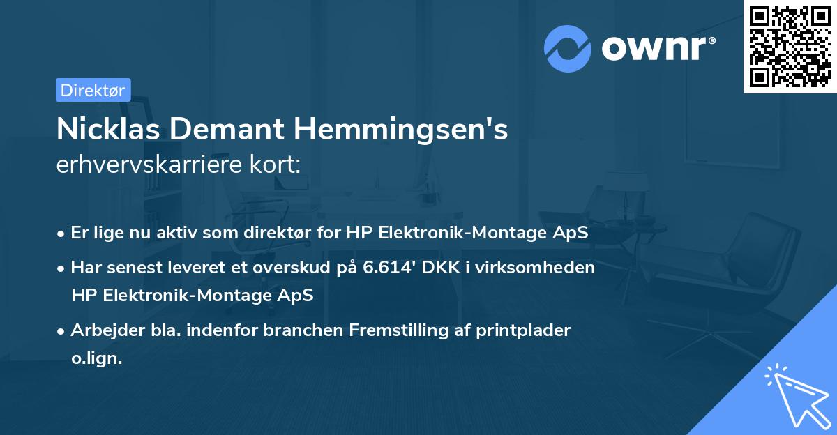Nicklas Demant Hemmingsen's erhvervskarriere kort