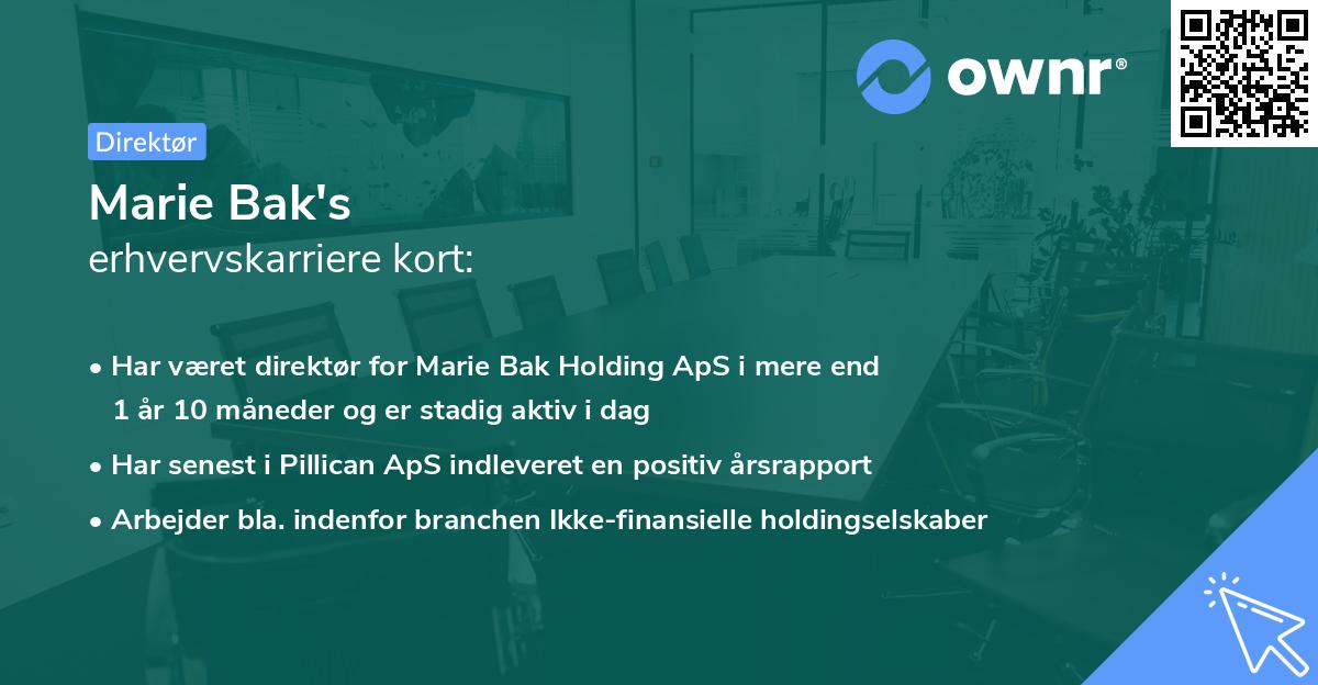 Marie Bak's erhvervskarriere kort