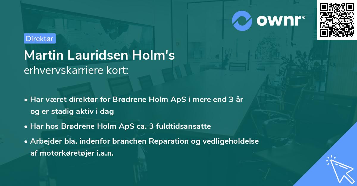 Martin Lauridsen Holm's erhvervskarriere kort