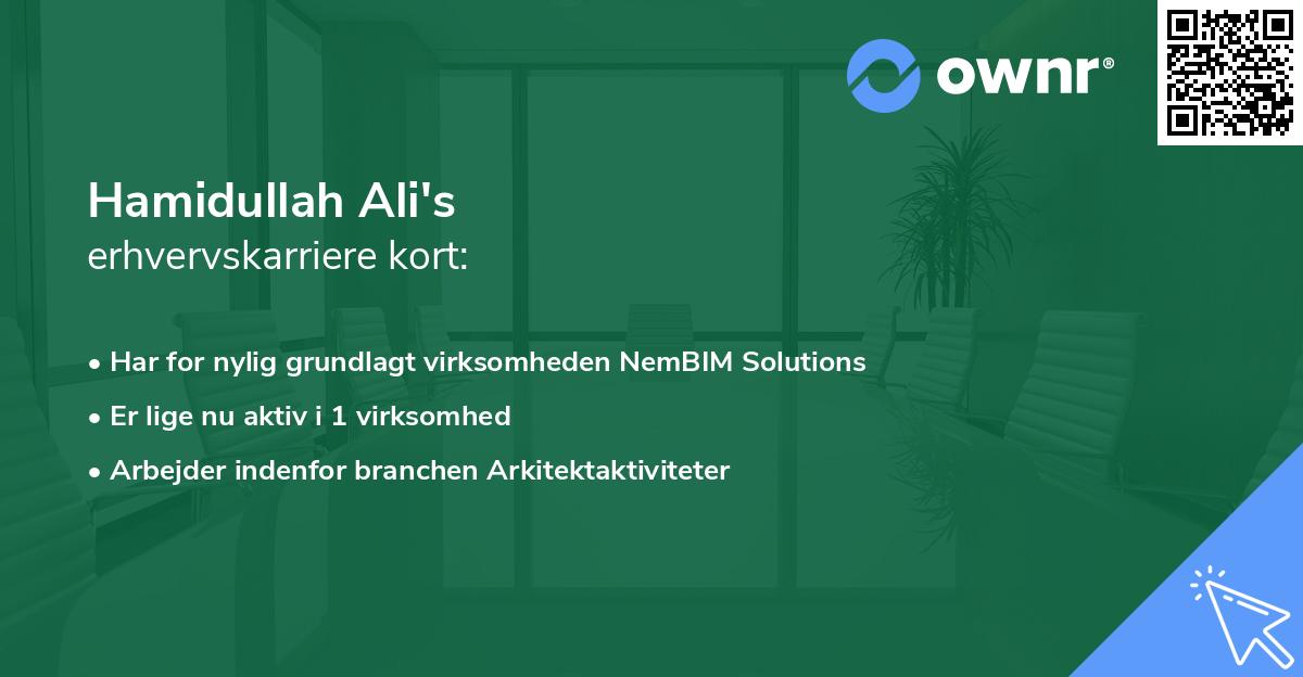 Hamidullah Ali's erhvervskarriere kort