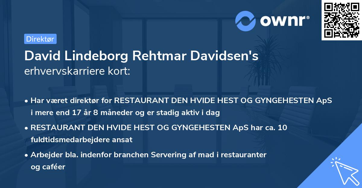 David Lindeborg Rehtmar Davidsen's erhvervskarriere kort