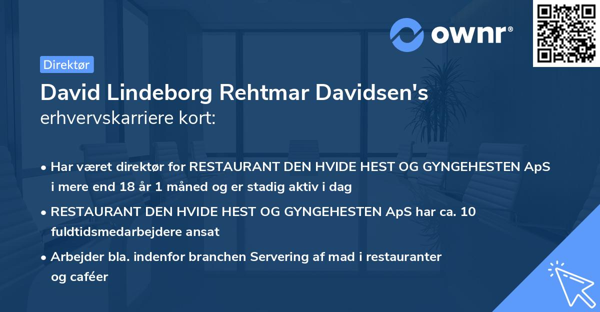 David Lindeborg Rehtmar Davidsen's erhvervskarriere kort