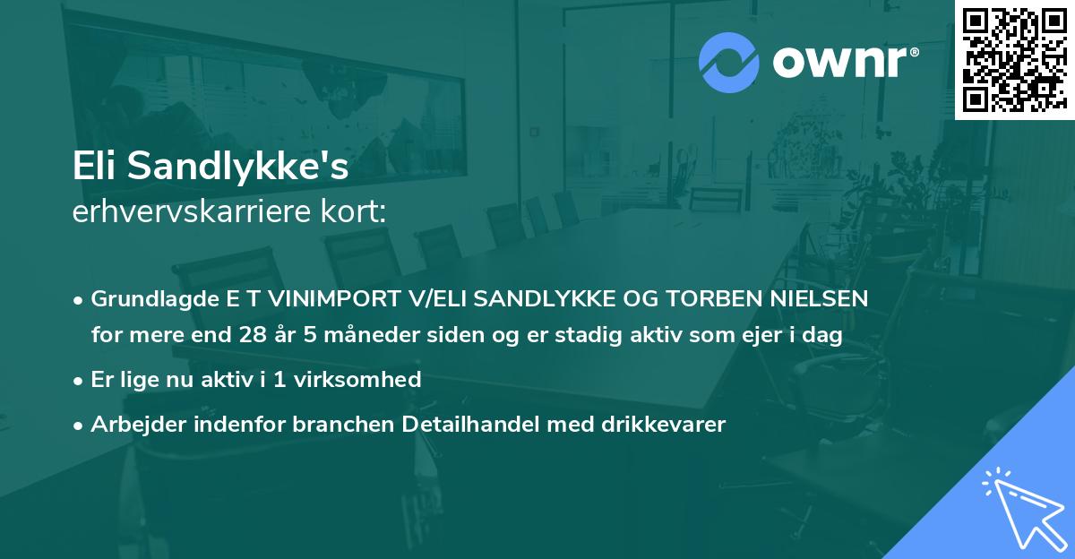 Eli Sandlykke's erhvervskarriere kort