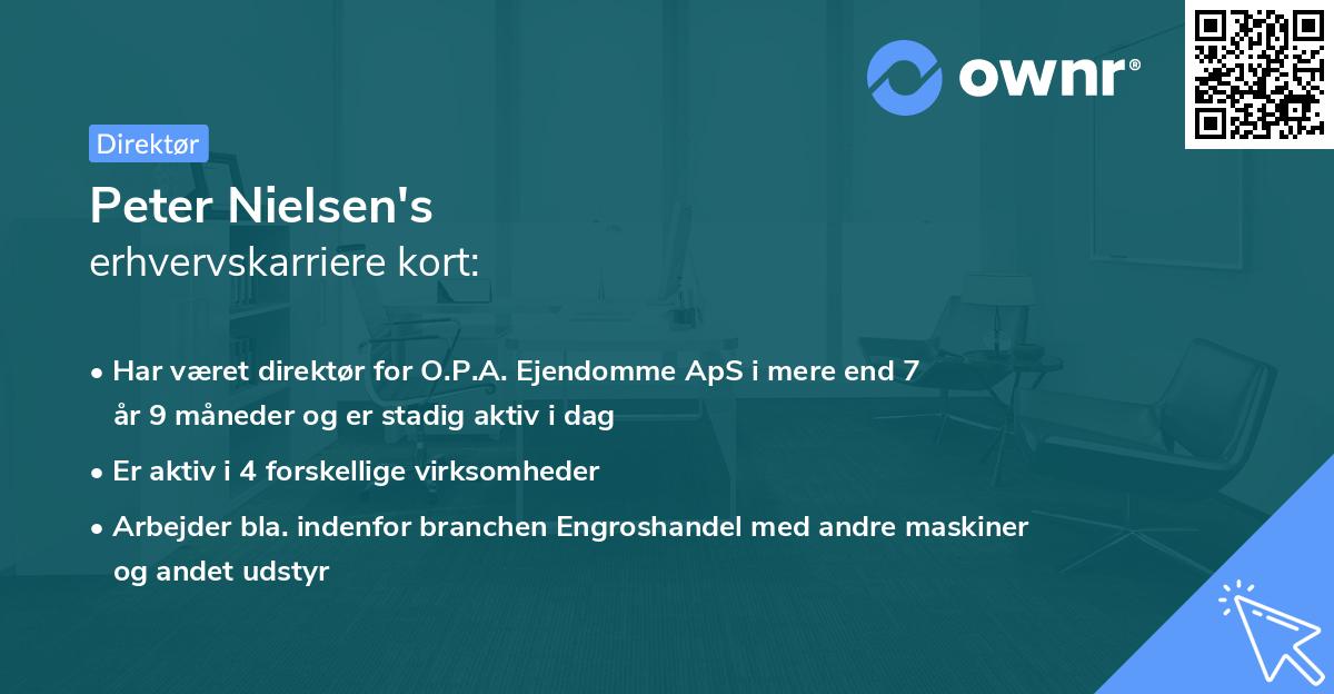 Peter Nielsen's erhvervskarriere kort