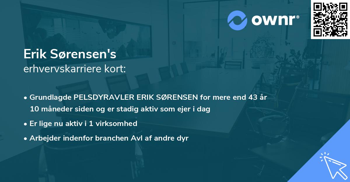 Erik Sørensen's erhvervskarriere kort