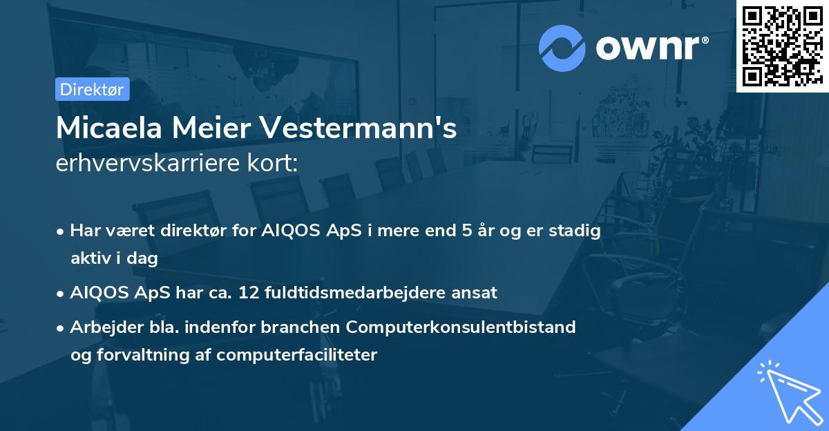 Micaela Meier Vestermann's erhvervskarriere kort