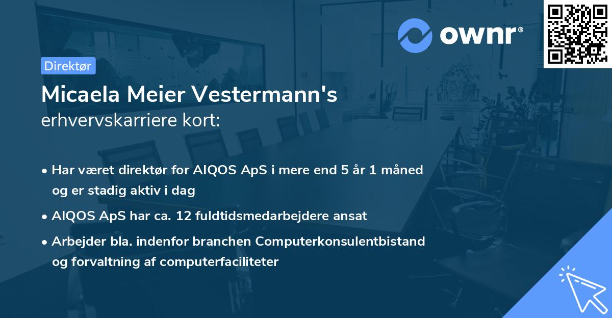 Micaela Meier Vestermann's erhvervskarriere kort