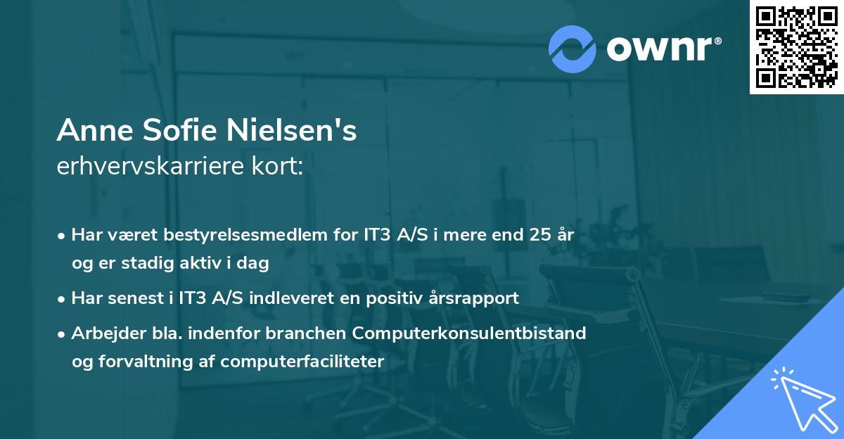 Anne Sofie Nielsen's erhvervskarriere kort