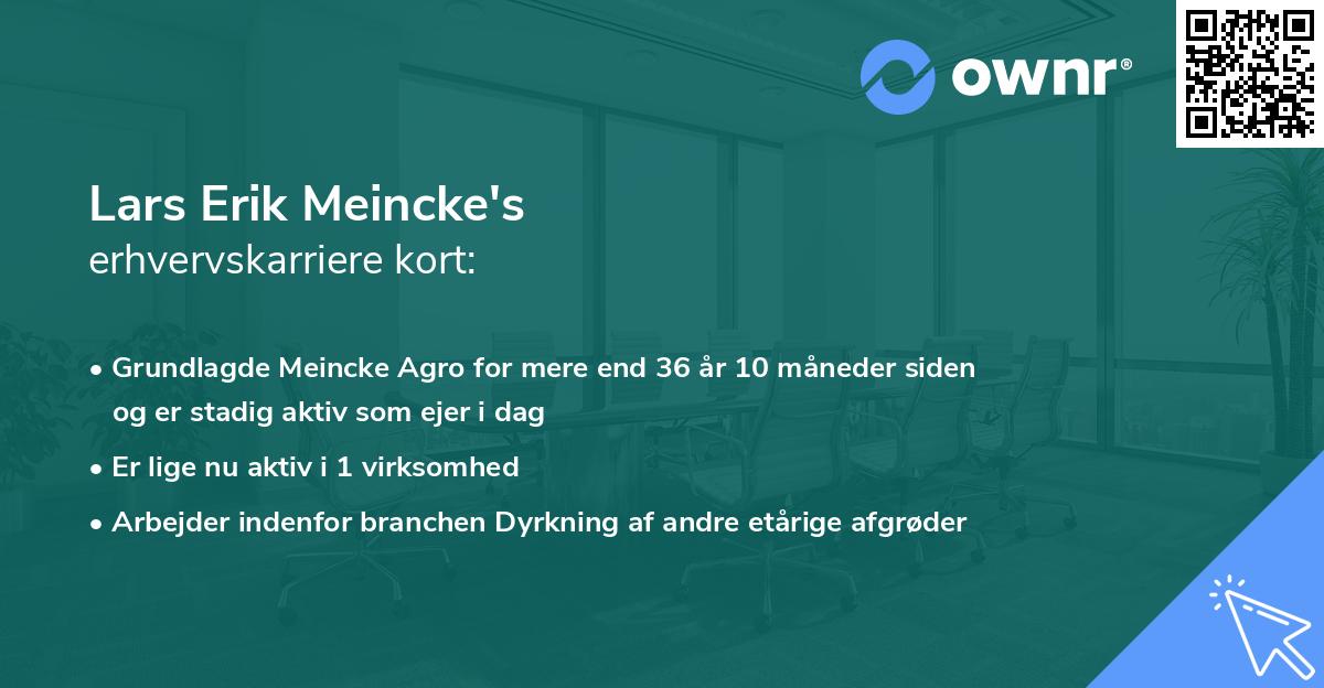 Lars Erik Meincke's erhvervskarriere kort