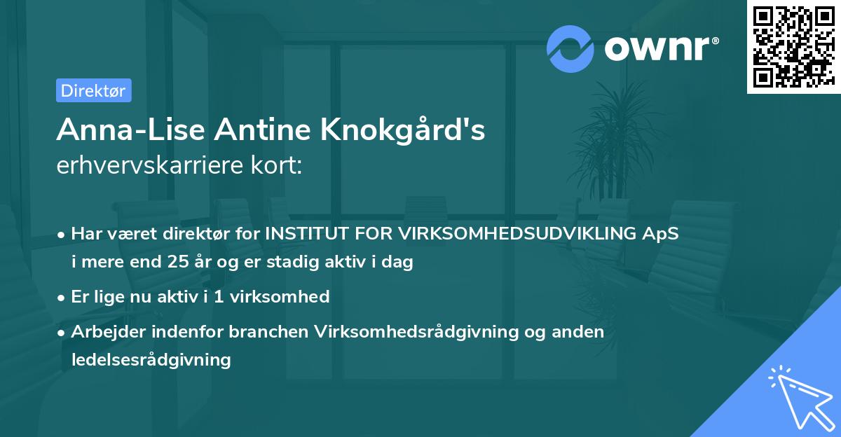 Anna-Lise Antine Knokgård's erhvervskarriere kort