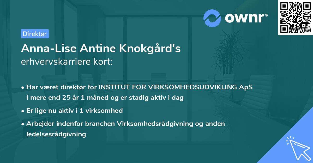Anna-Lise Antine Knokgård's erhvervskarriere kort