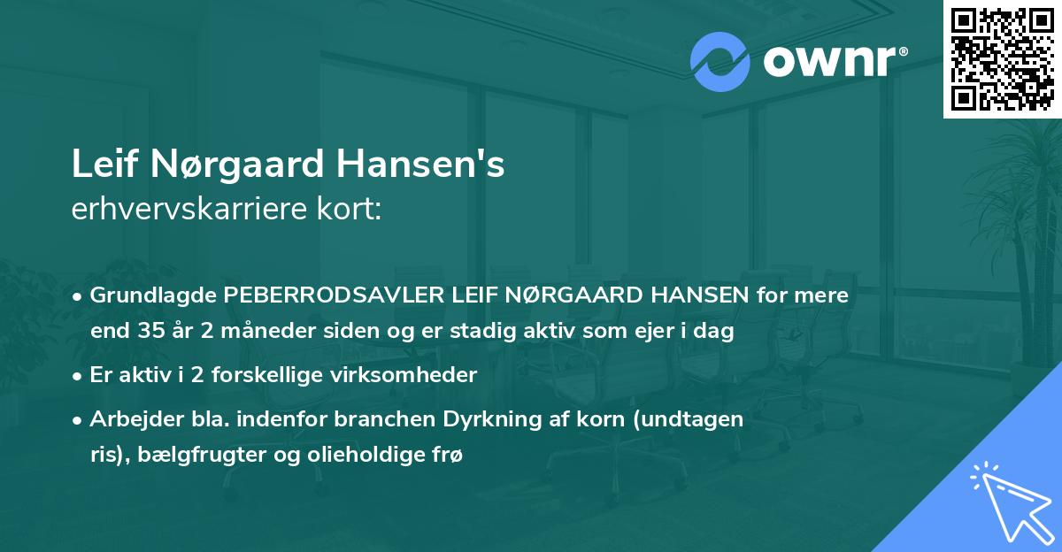 Leif Nørgaard Hansen's erhvervskarriere kort