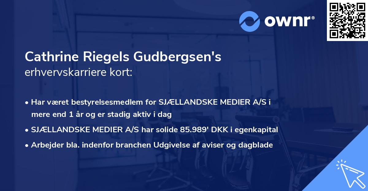 Cathrine Riegels Gudbergsen's erhvervskarriere kort