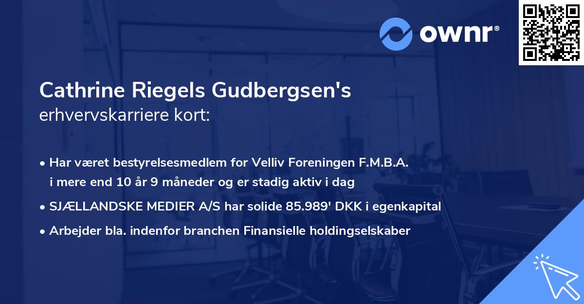 Cathrine Riegels Gudbergsen's erhvervskarriere kort