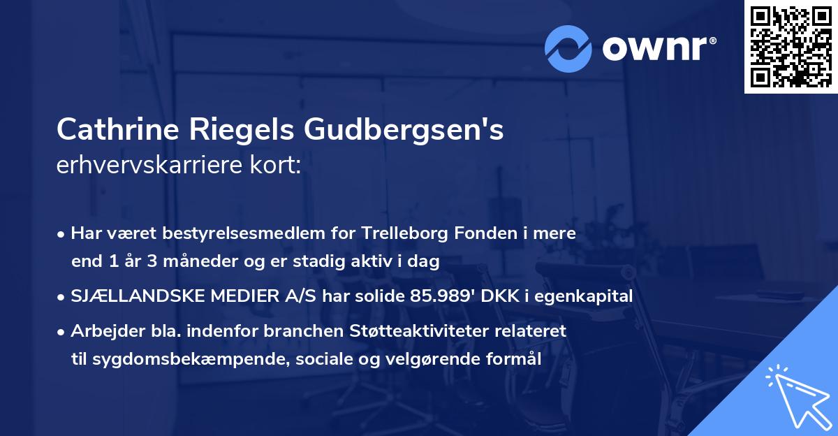 Cathrine Riegels Gudbergsen's erhvervskarriere kort