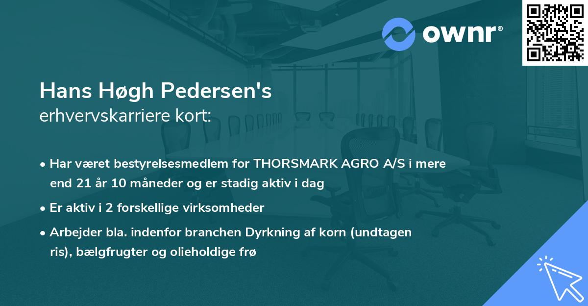 Hans Høgh Pedersen's erhvervskarriere kort