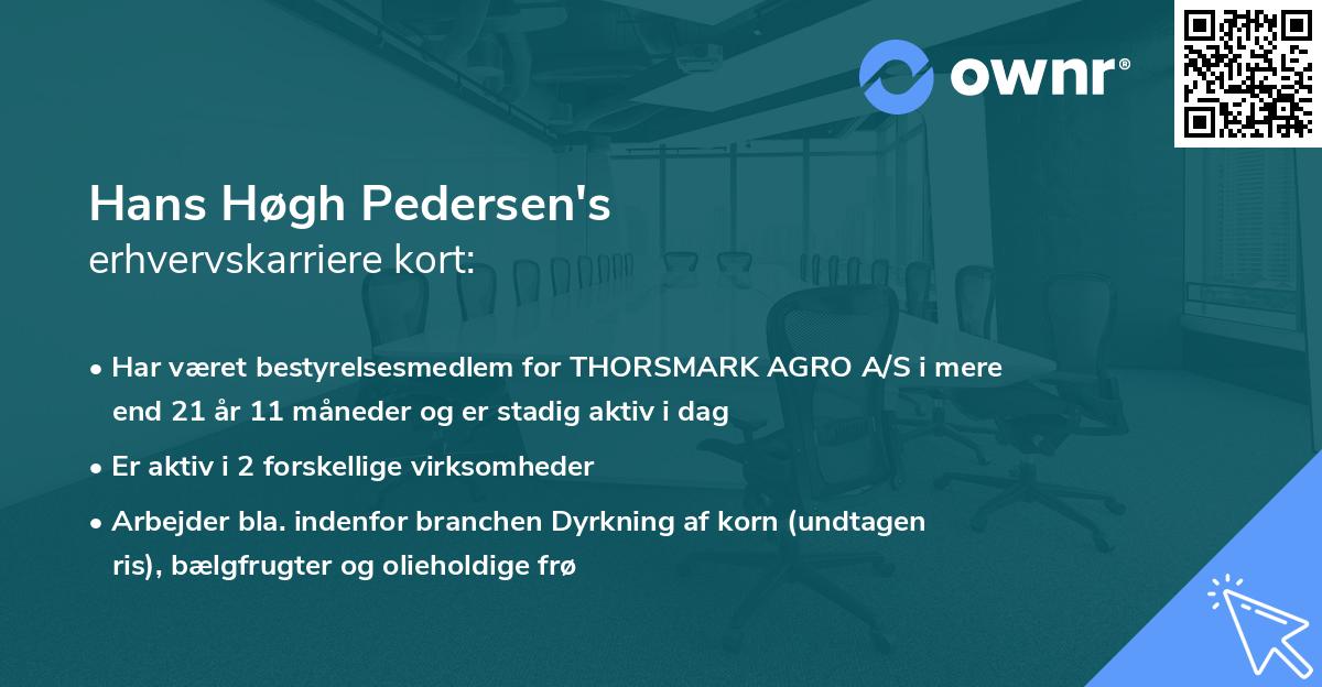 Hans Høgh Pedersen's erhvervskarriere kort