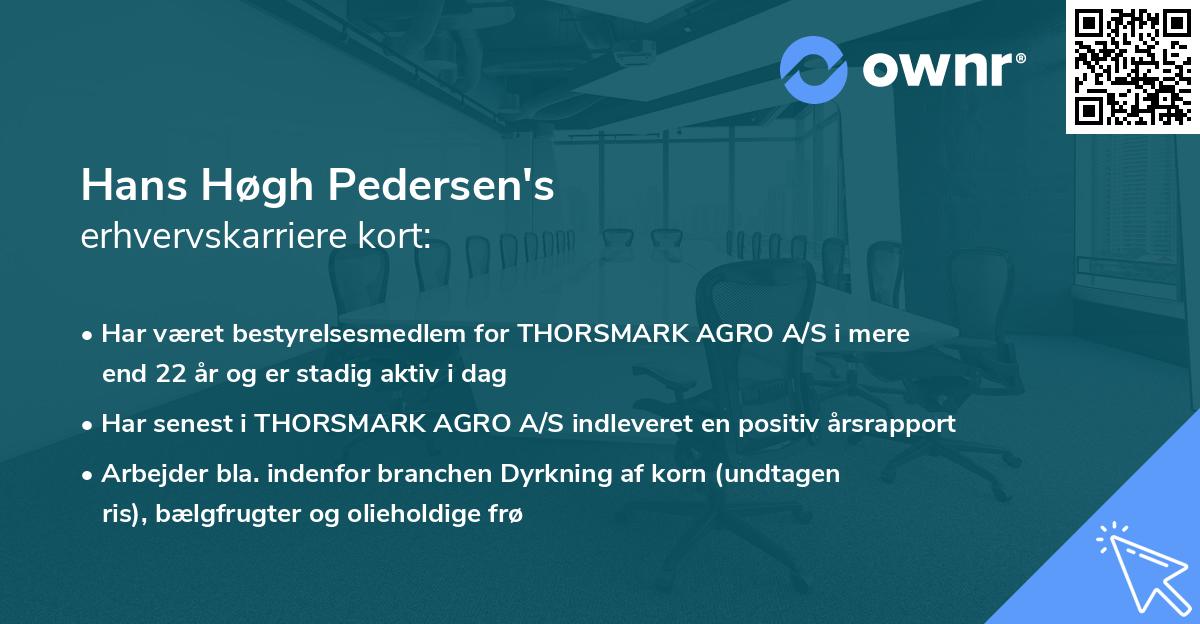 Hans Høgh Pedersen's erhvervskarriere kort