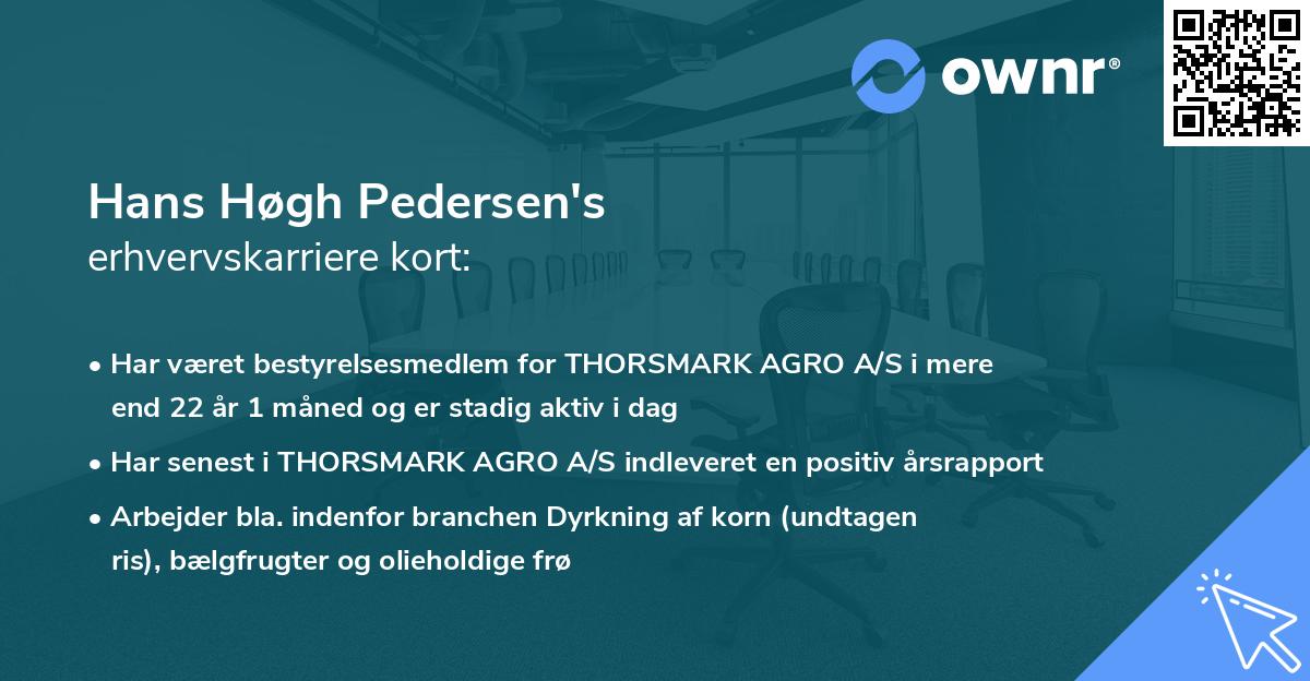 Hans Høgh Pedersen's erhvervskarriere kort