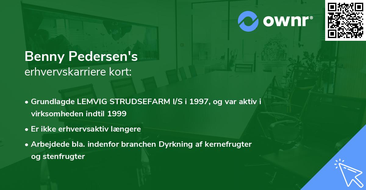 Benny Pedersen's erhvervskarriere kort