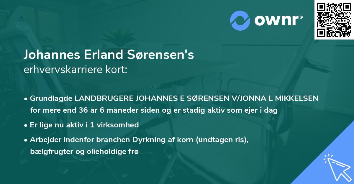 Johannes Erland Sørensen's erhvervskarriere kort