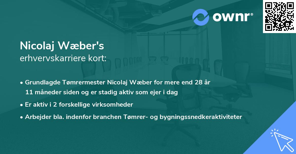 Nicolaj Wæber's erhvervskarriere kort