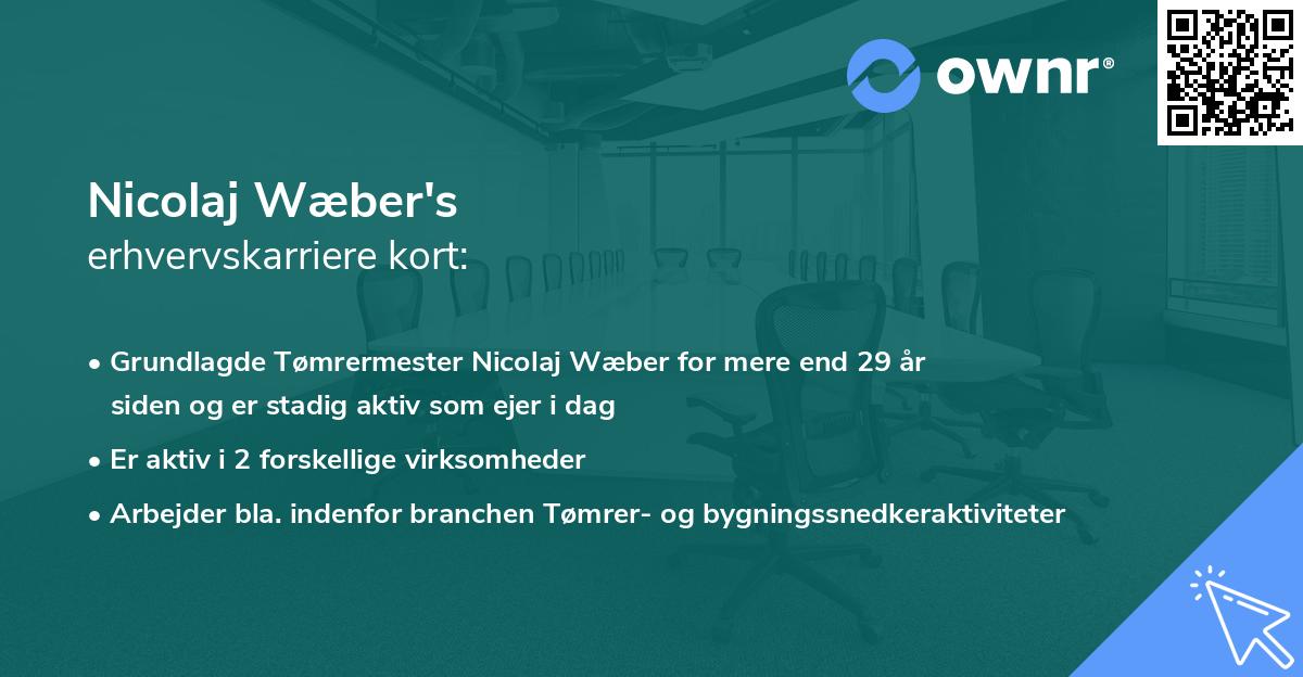 Nicolaj Wæber's erhvervskarriere kort