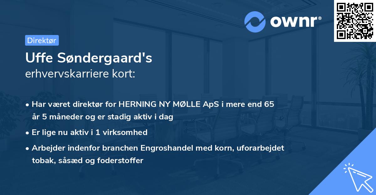 Uffe Søndergaard's erhvervskarriere kort