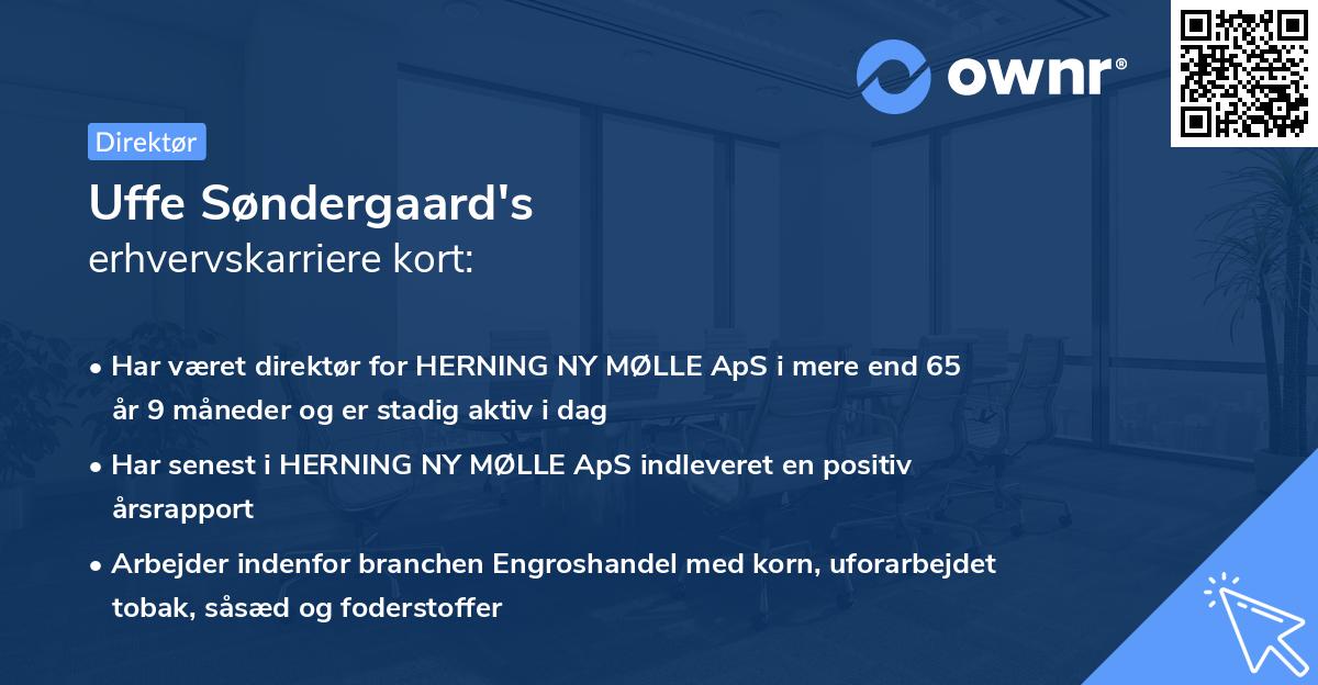 Uffe Søndergaard's erhvervskarriere kort