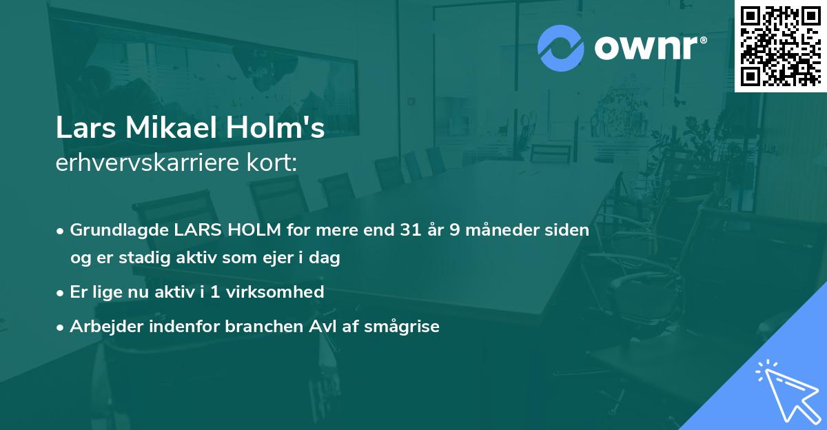 Lars Mikael Holm's erhvervskarriere kort