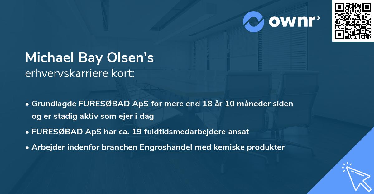 Michael Bay Olsen's erhvervskarriere kort
