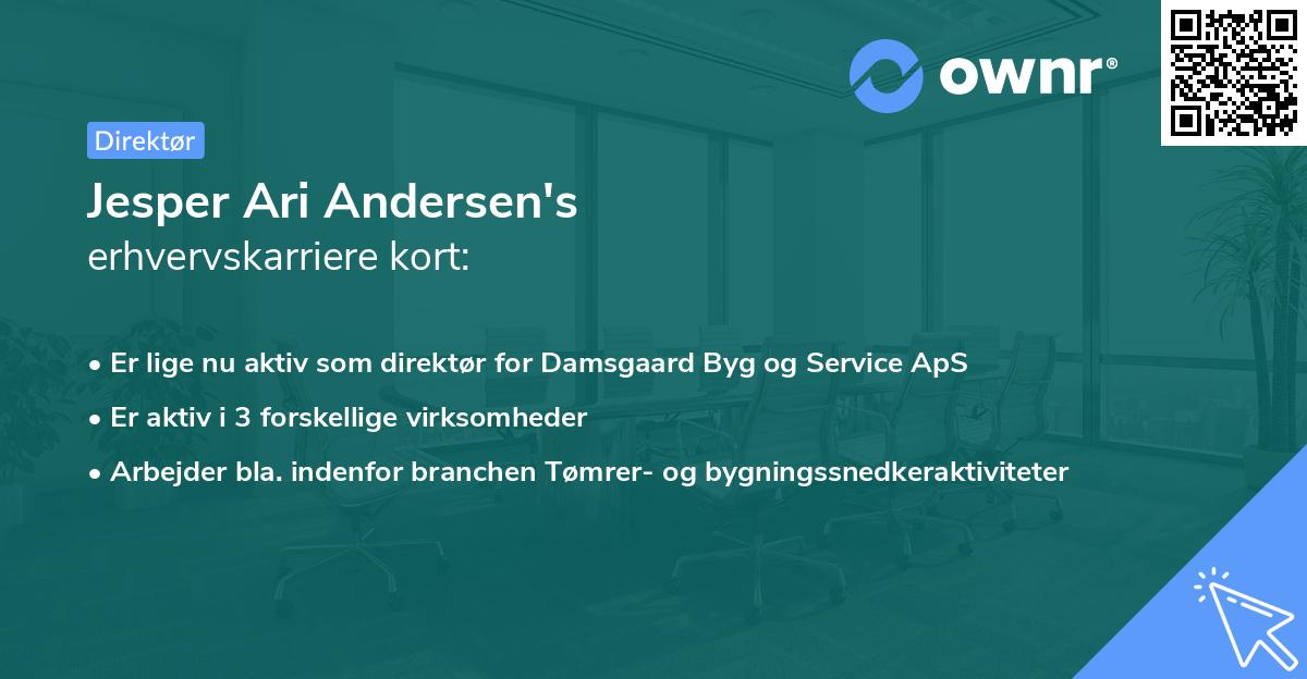 Jesper Ari Andersen's erhvervskarriere kort