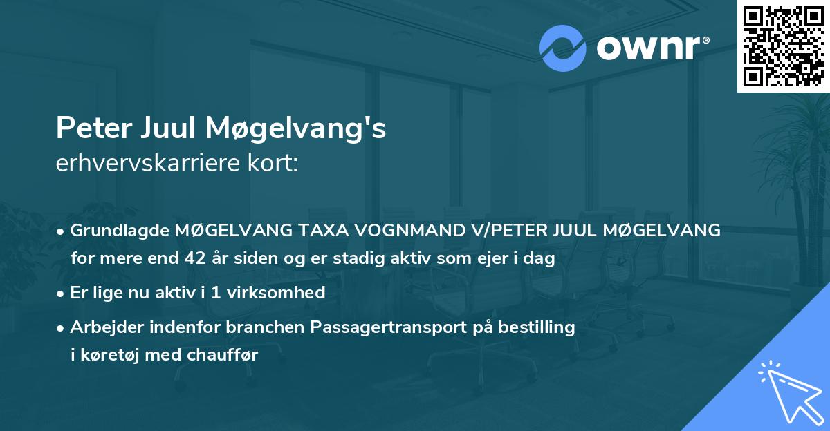 Peter Juul Møgelvang's erhvervskarriere kort