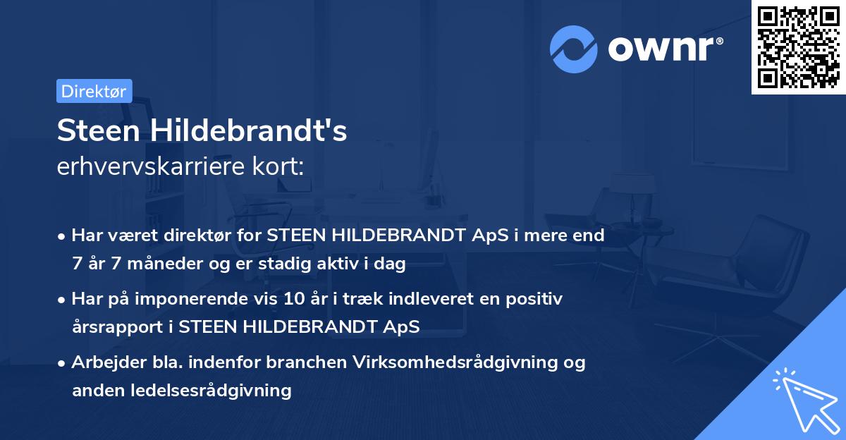 Steen Hildebrandt's erhvervskarriere kort