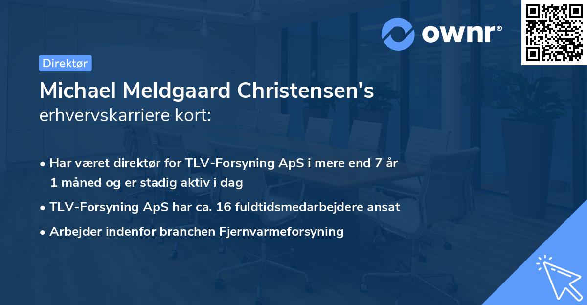 Michael Meldgaard Christensen's erhvervskarriere kort