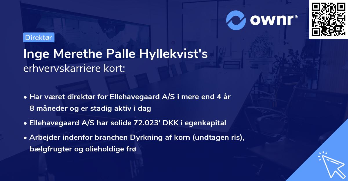 Inge Merethe Palle Hyllekvist's erhvervskarriere kort