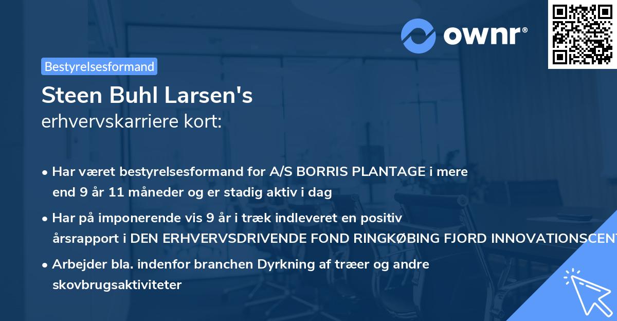 Steen Buhl Larsen's erhvervskarriere kort