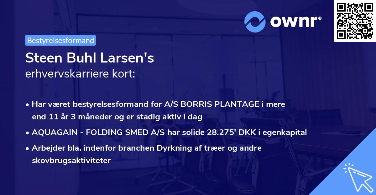 Steen Buhl Larsen's erhvervskarriere kort