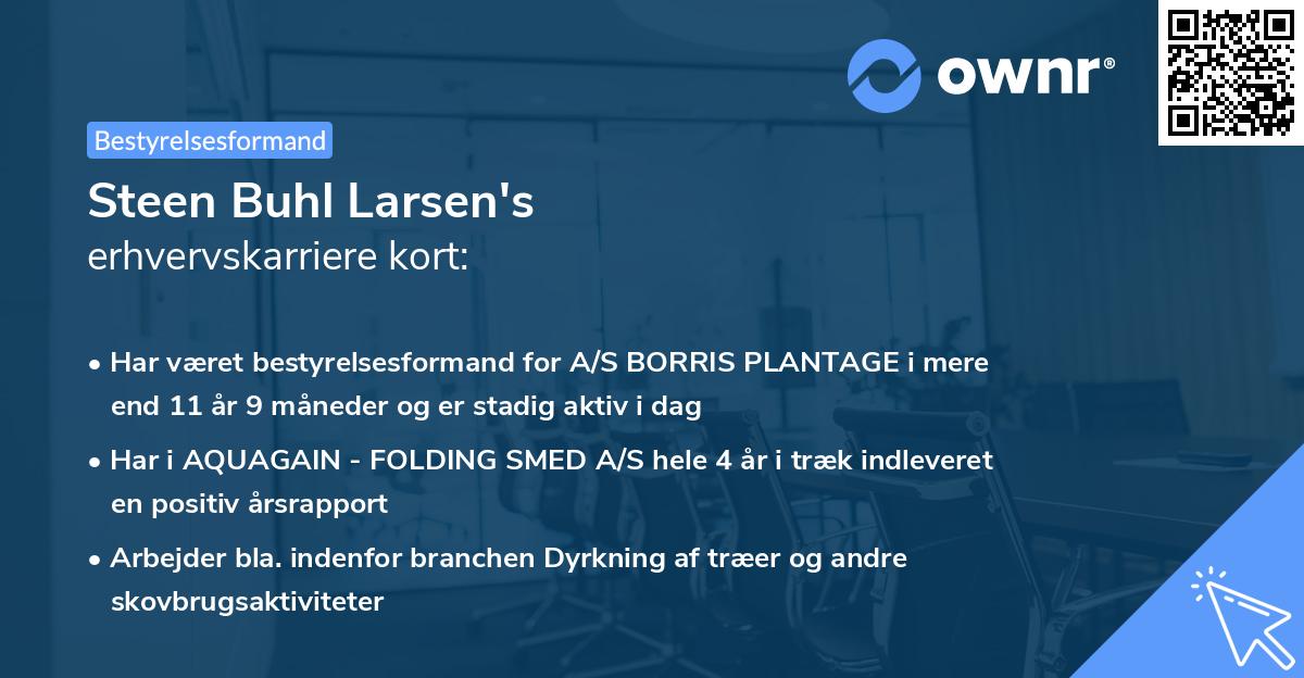 Steen Buhl Larsen's erhvervskarriere kort