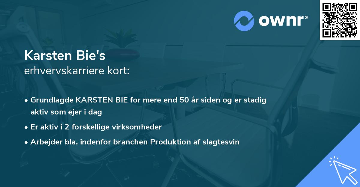 Karsten Bie's erhvervskarriere kort