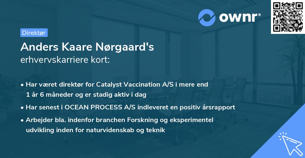 Anders Kaare Nørgaard's erhvervskarriere kort
