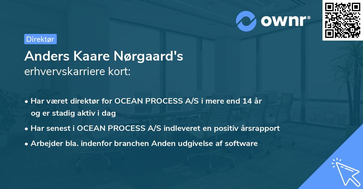 Anders Kaare Nørgaard's erhvervskarriere kort