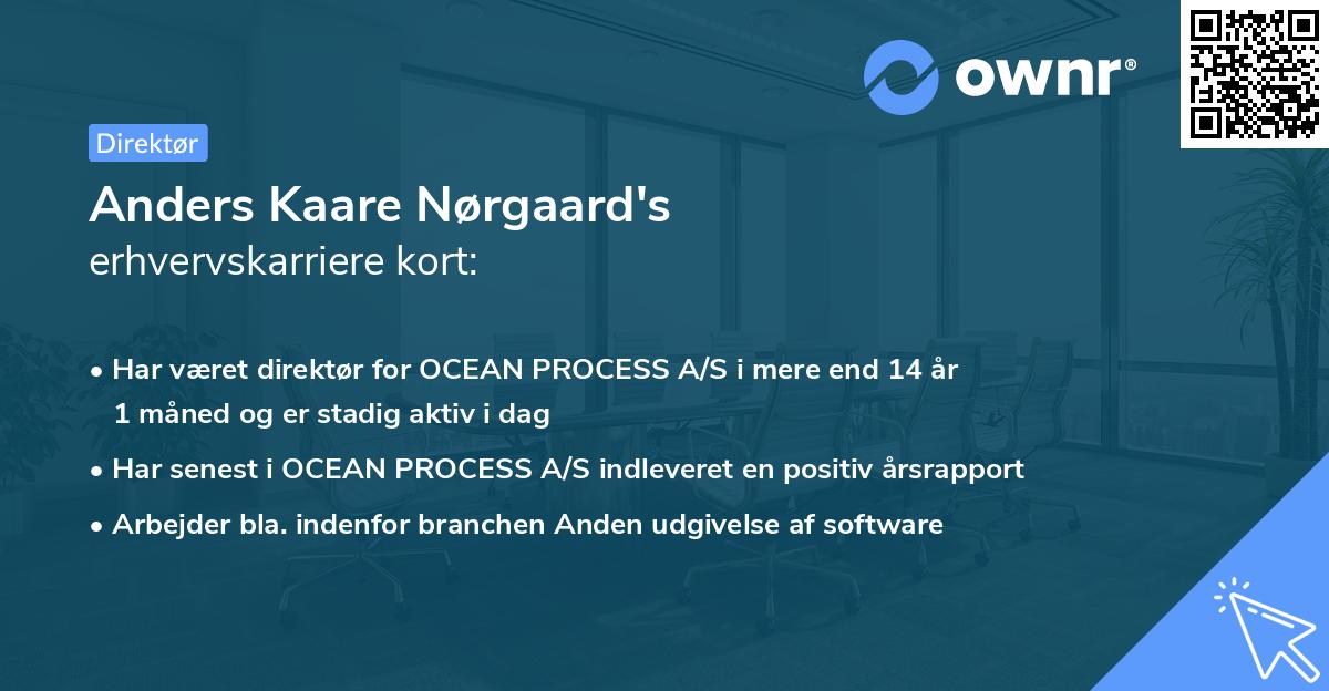 Anders Kaare Nørgaard's erhvervskarriere kort